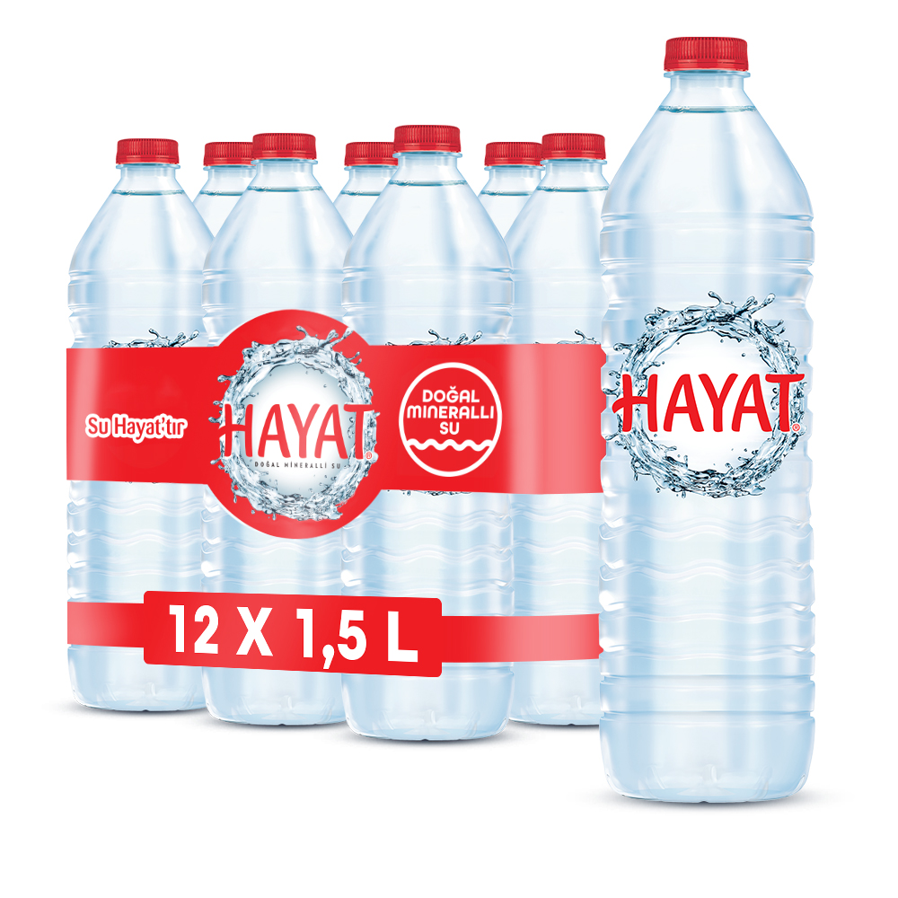 12 adet Hayat 1,5 litre su