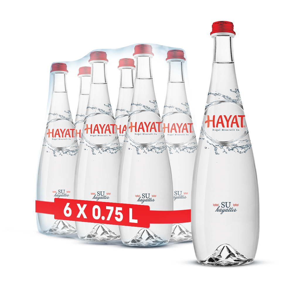 Hayat 750 ml cam şişe su