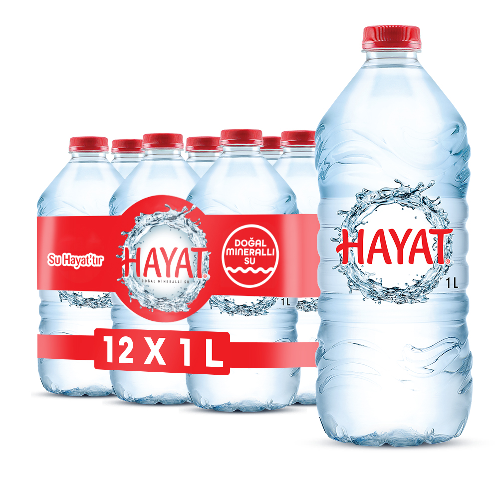 12 adet Hayat 1 litre su