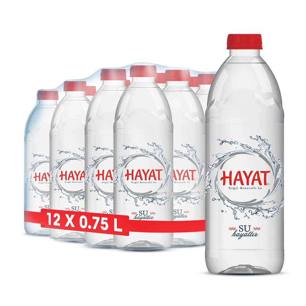 12 adet Hayat 750 ml Premium PET su